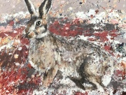 HARE