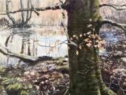 SKOVSØ VINTER