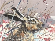 HARE